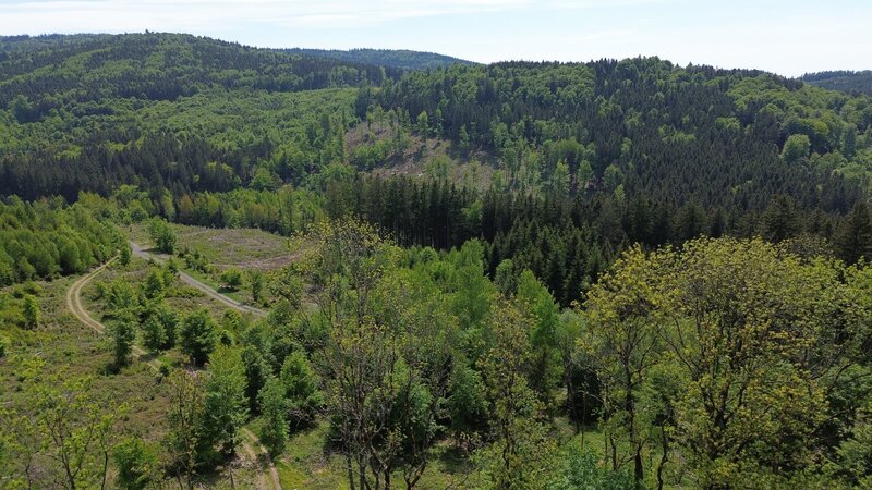 Rodinný dům 5+1, 251 m² podlahové plochy, pozemek 4 779 m² – Jindřichova Hora