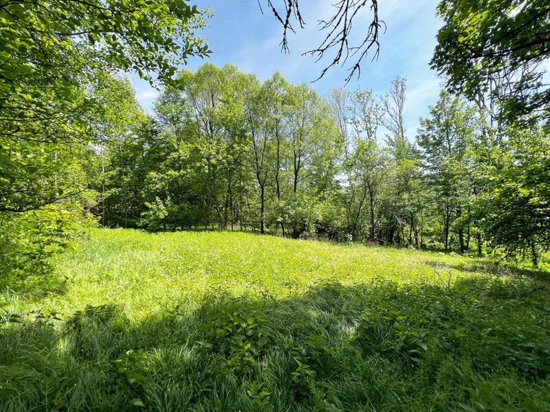 Rodinný dům 5+1, 251 m² podlahové plochy, pozemek 4 779 m² – Jindřichova Hora