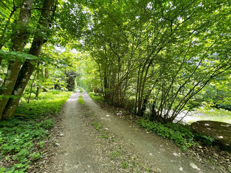 Rodinný dům 5+1, 251 m² podlahové plochy, pozemek 4 779 m² – Jindřichova Hora